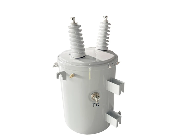 25 KVA Electric Pole Transformer-13.8/0.12*0.24 KV | Guyana 2024 factory