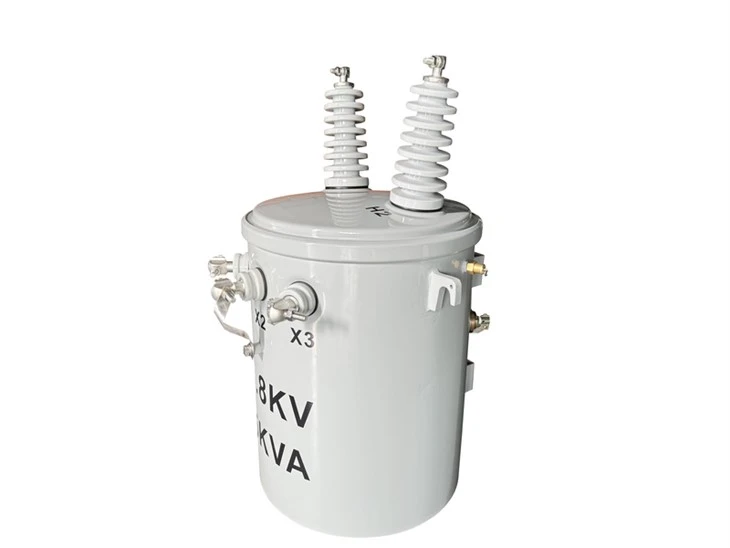 25 KVA Electric Pole Transformer-13.8/0.12*0.24 KV | Guyana 2024 suppliers
